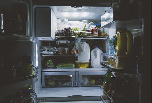 ミミズ 冷蔵庫 保存 栄養価 餌